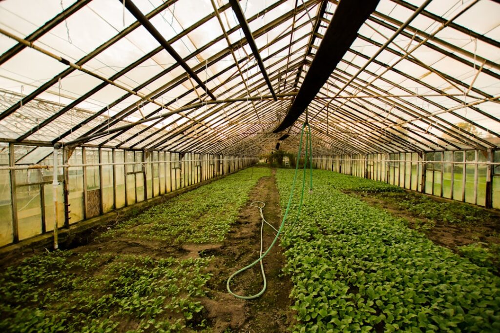 Photo Plantys Salvage: Greenhouse