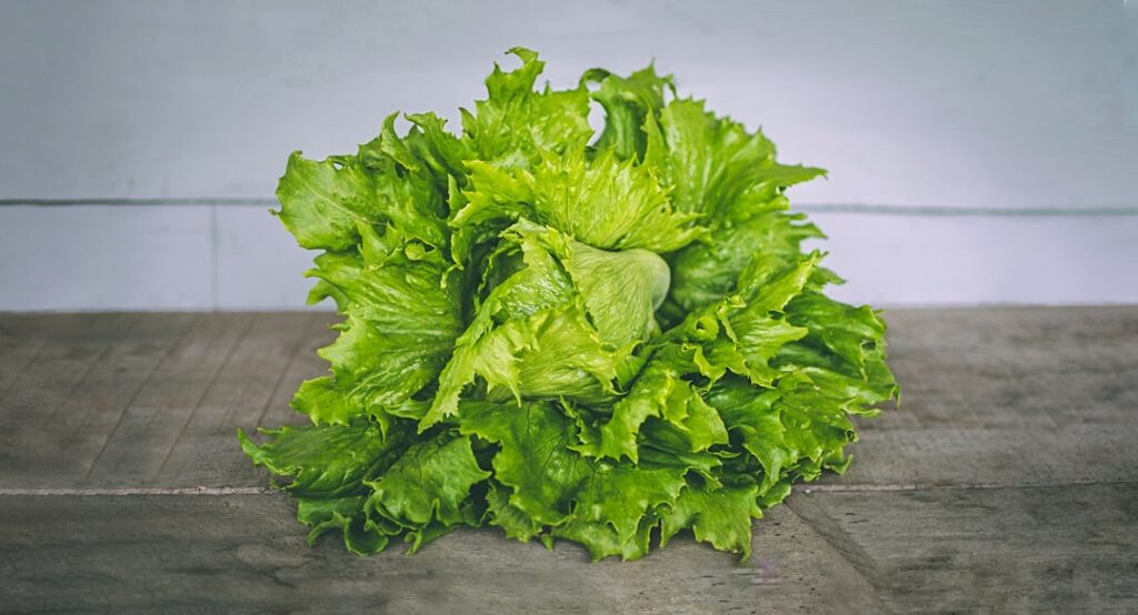 Photo Healthy leaves