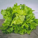 Photo Healthy leaves